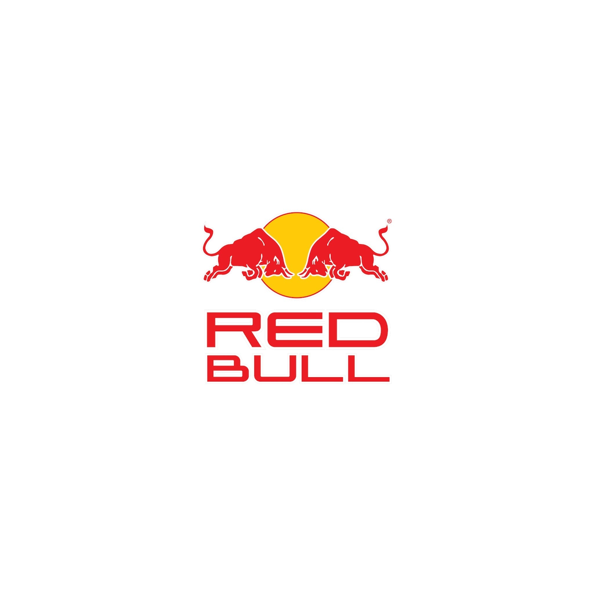 REDBULL Endless Racegear